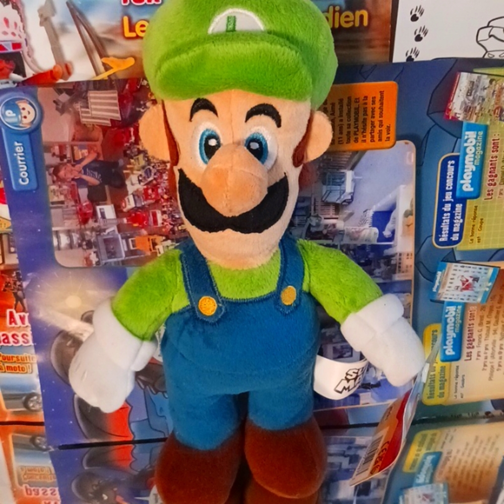 Super Mario Luigi- Jakks Pacific Inc, OneSize, Green & Blue.